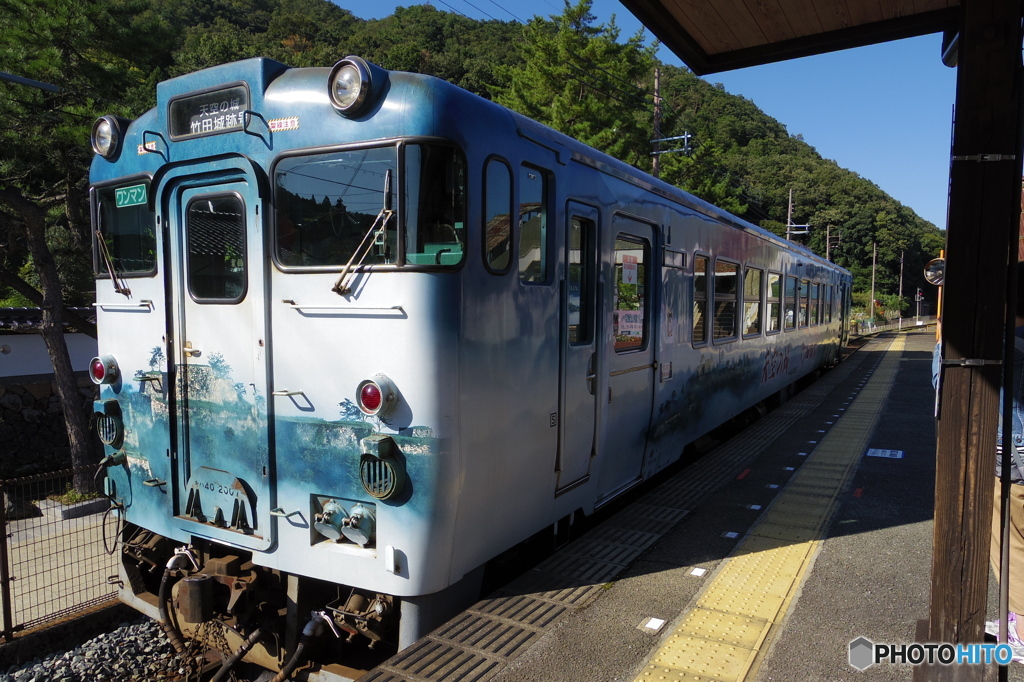 IMGP6851