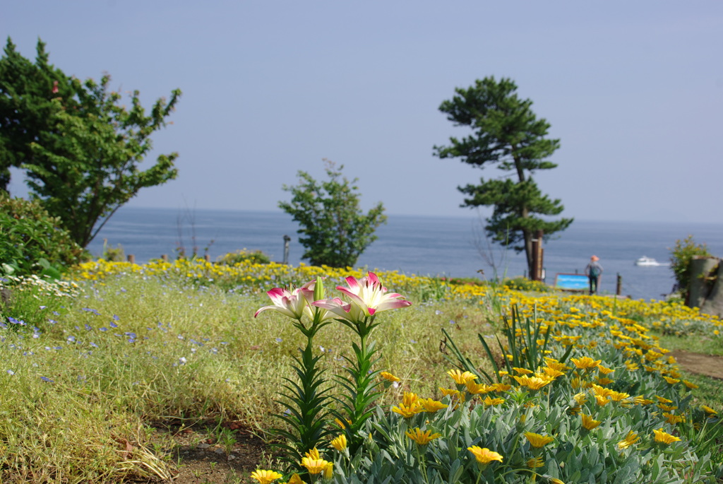 四季の花公園