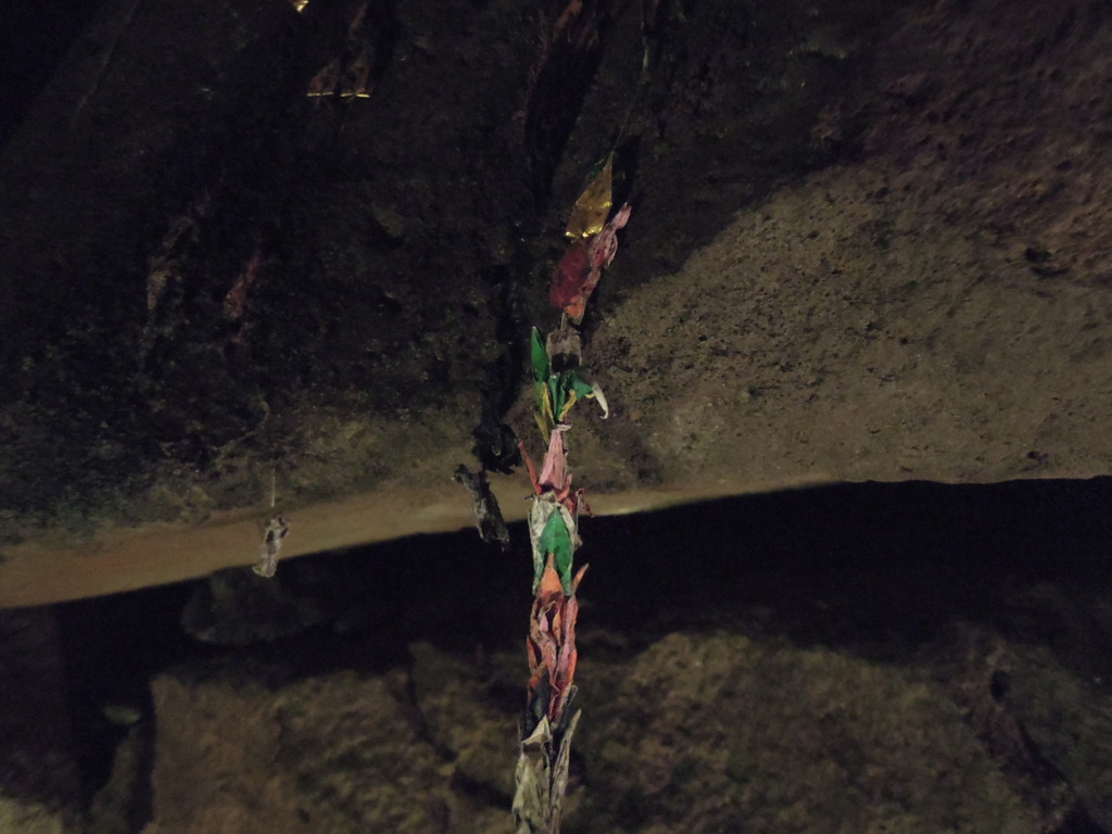 DSCN0072