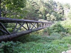 DSCN0120