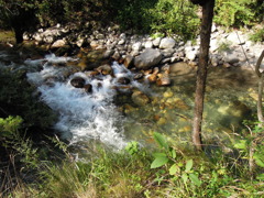 DSCN0117