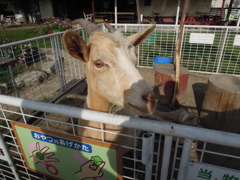 DSCN0122