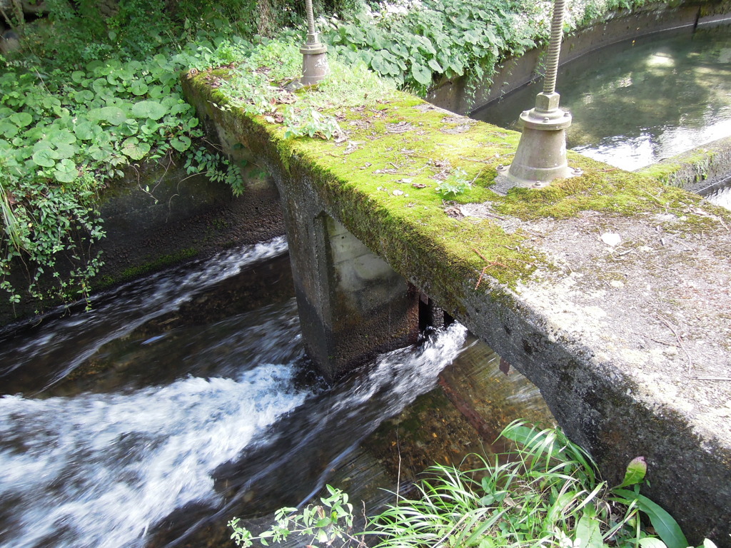 DSCN0116
