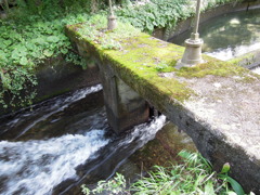 DSCN0116