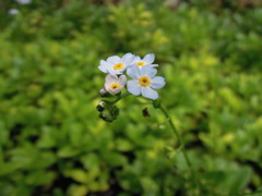 DSCN0059