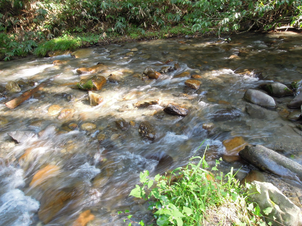 DSCN0100