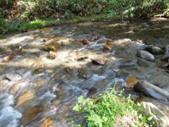 DSCN0100