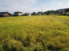 DSCN0095