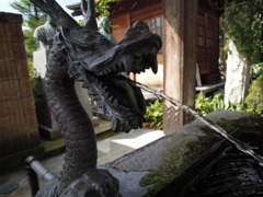 DSCN0084