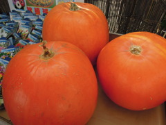 DSCN0092
