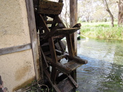 DSCN0051