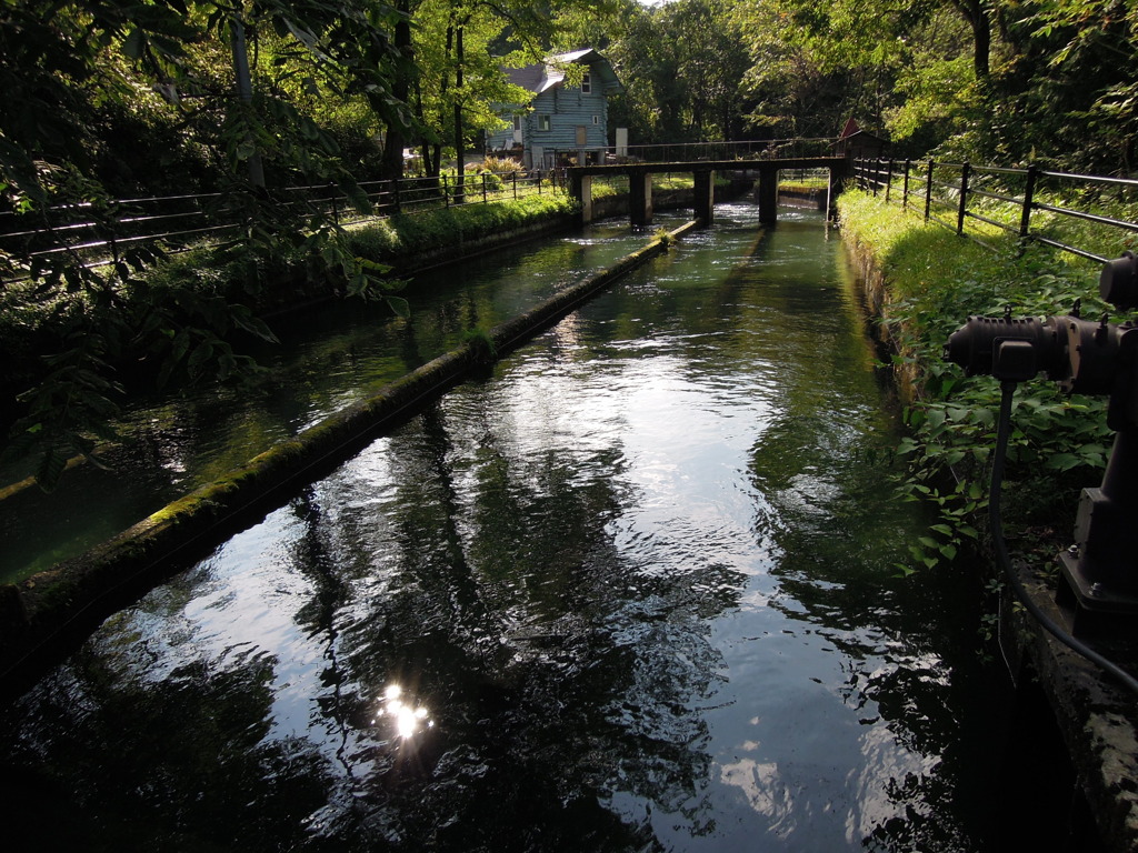 DSCN0114