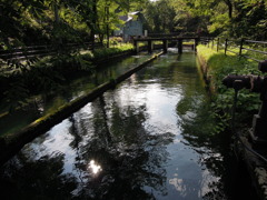 DSCN0114