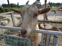 DSCN0123