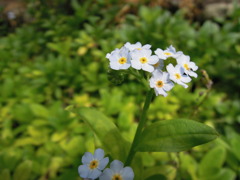 DSCN0060