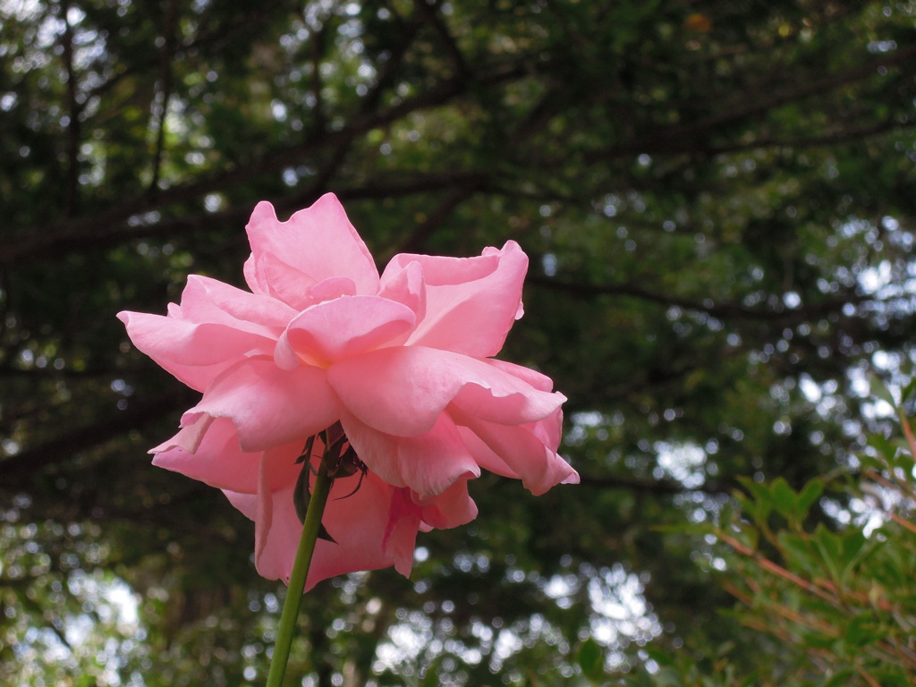 DSCN0076