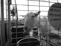 DSCN0124