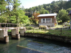DSCN0109
