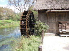 DSCN0050
