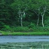 涼を求めて
