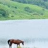 馬
