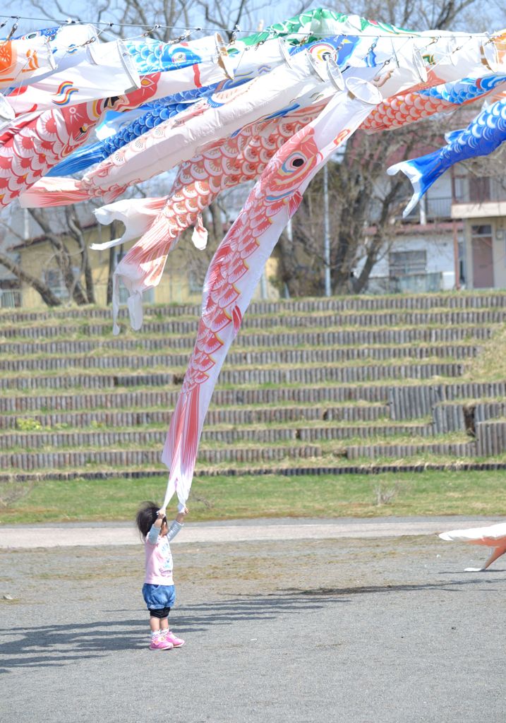 コイニムチュウ
