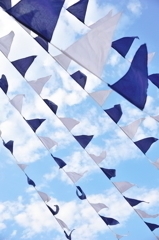 Flags