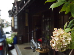 小雨の玄関先