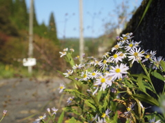 線路沿い