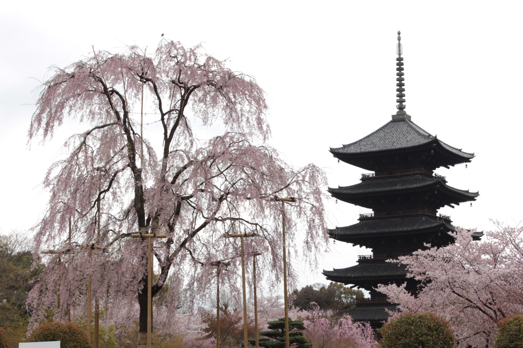 東寺