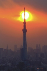 東京の夕暮れ