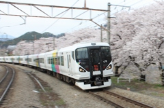 桜の中を駆け抜ける