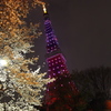 東京タワーと桜