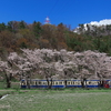 桜と電車