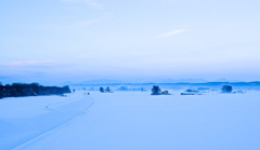 scent of winter
