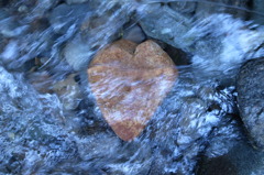 STONE LOVE