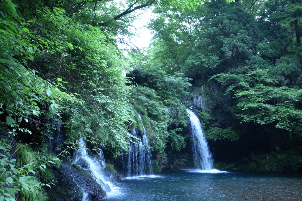 マイナスイオン発生中！