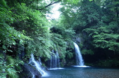 マイナスイオン発生中！