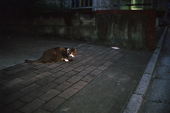 路地裏 #4