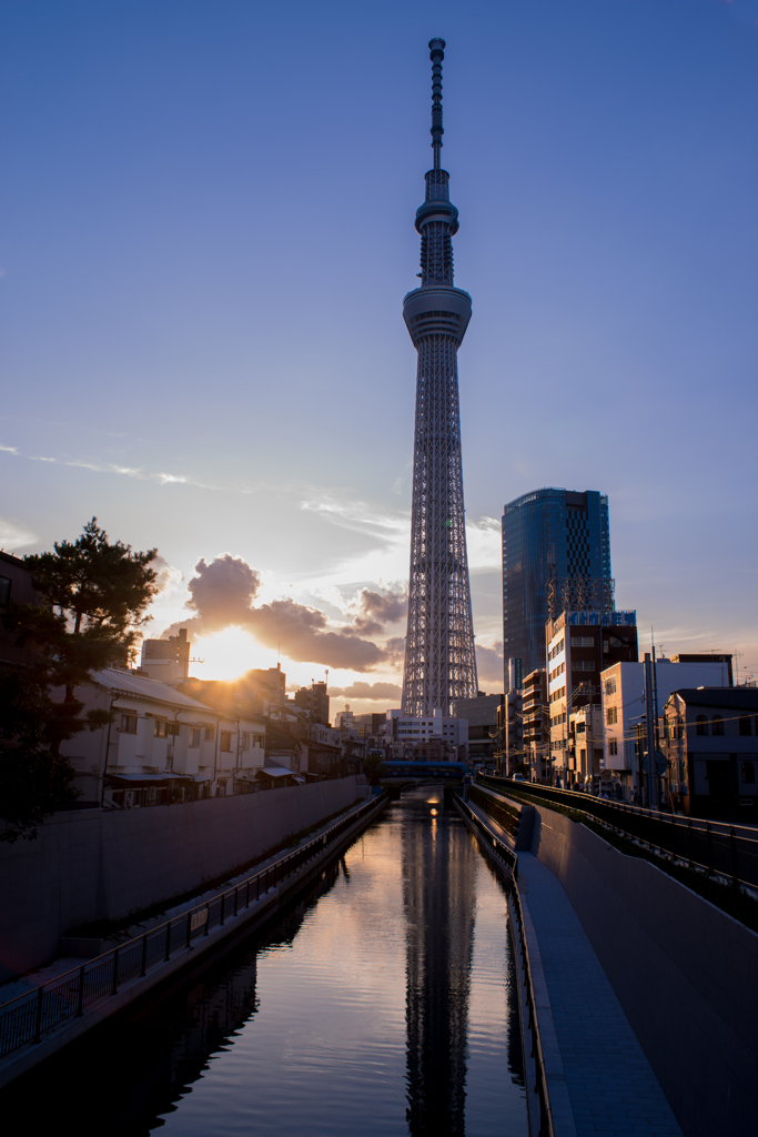 Tokyo Sunset