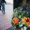 flower in the street