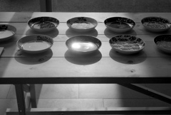 Plates #2