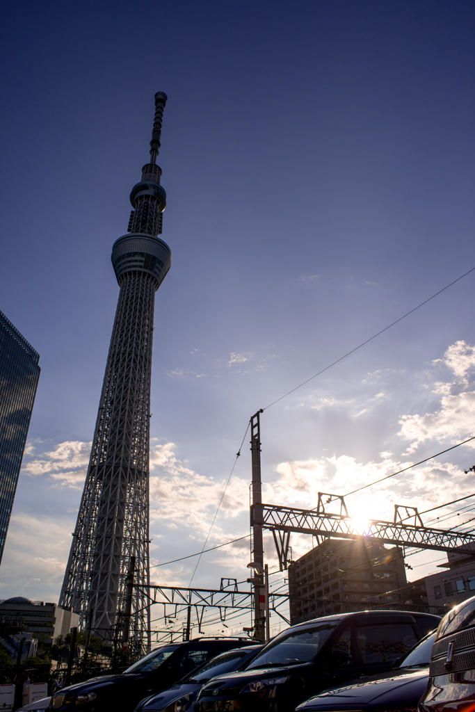Japanese Civilization