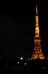 TOKYO TOWER #1