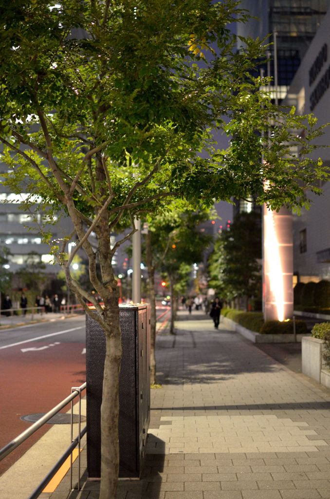帰り道