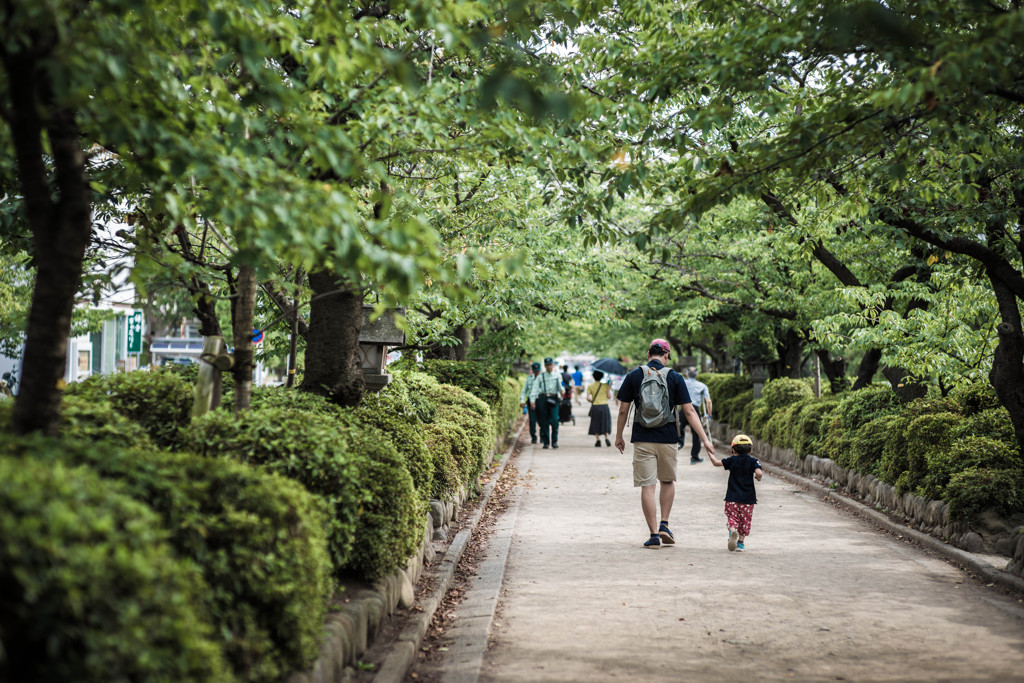 a Life in Kamakura #5