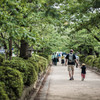 a Life in Kamakura #5