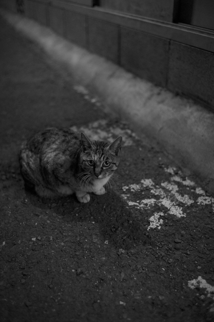 疑念