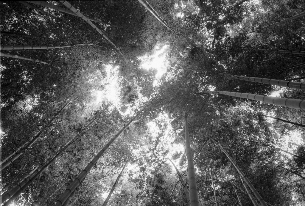 at the same time #11