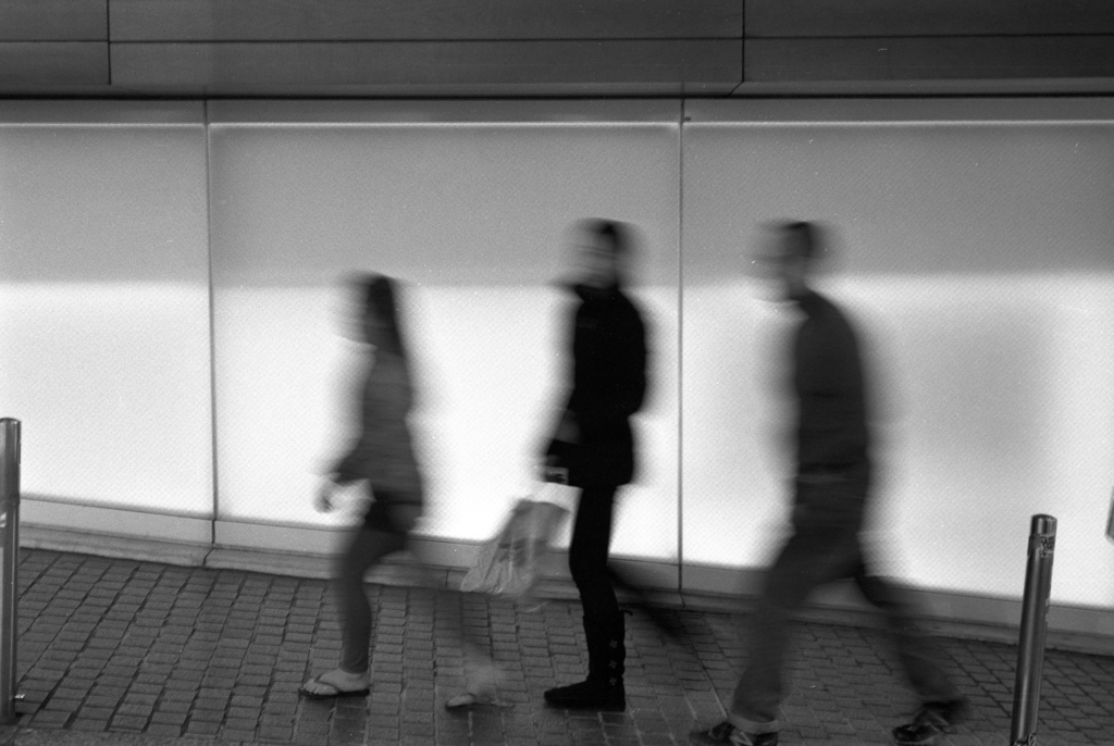a Monochrome Day #10